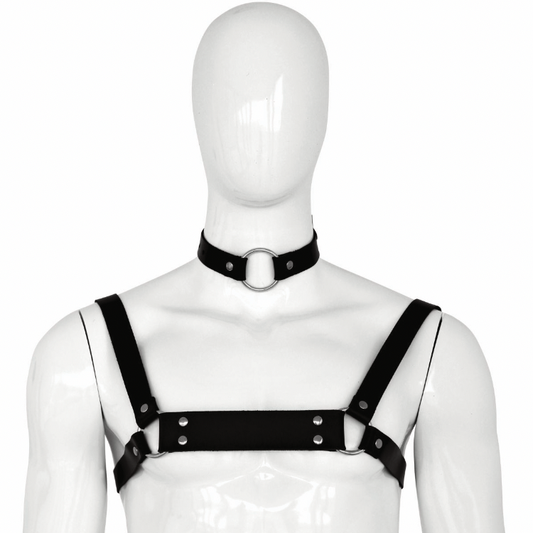 XX-DREAMSTOYS Männer Harness 2 ways 2.webp
