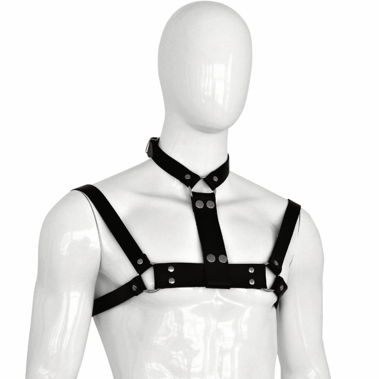 Leder-Harness