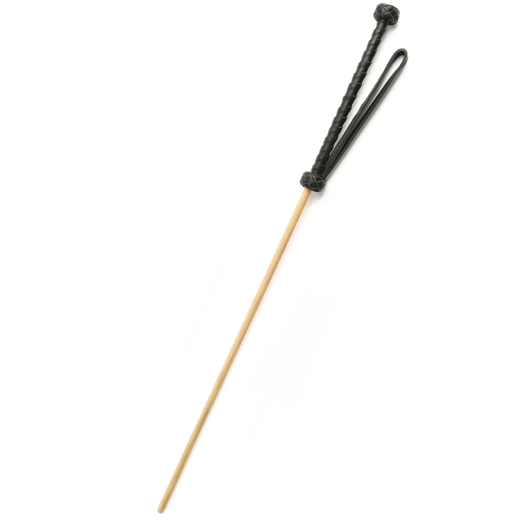 The Obedience Cane